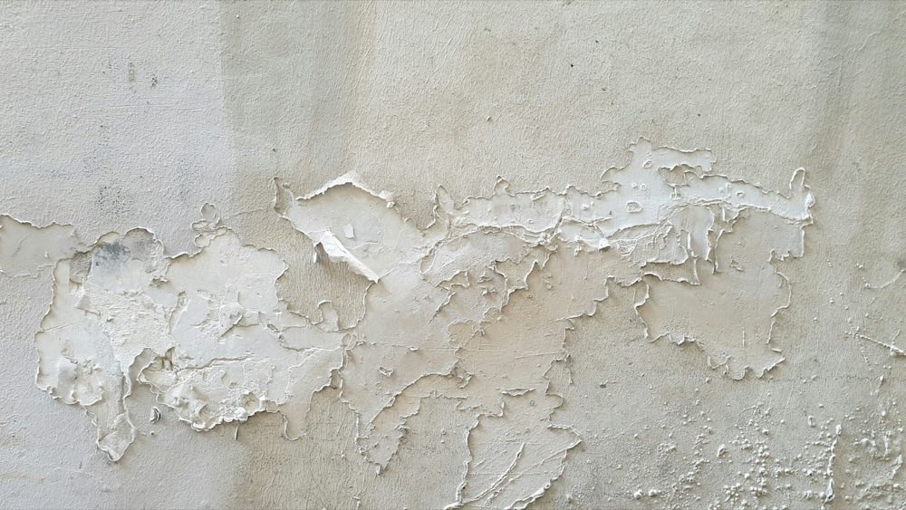 Flaking paint on a damp wall